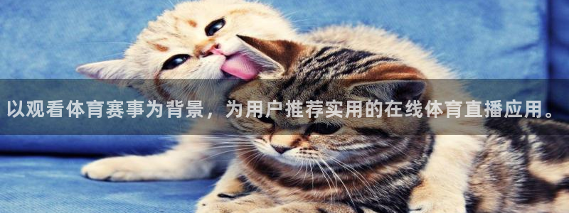 以观看体育赛事为背景，为用户推荐实用的在线体育直播应用。