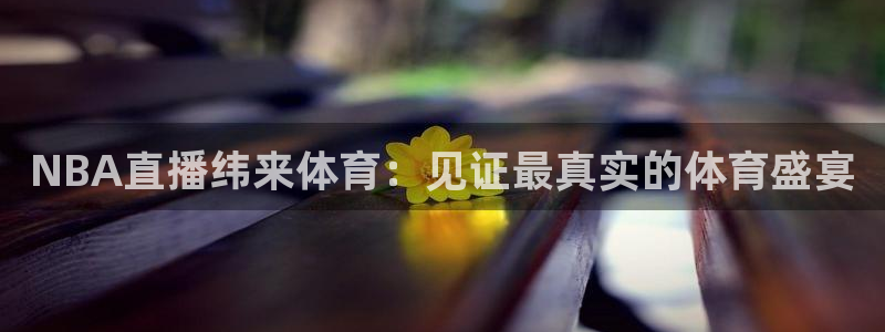 NBA直播纬来体育：见证最真实的体育盛宴
