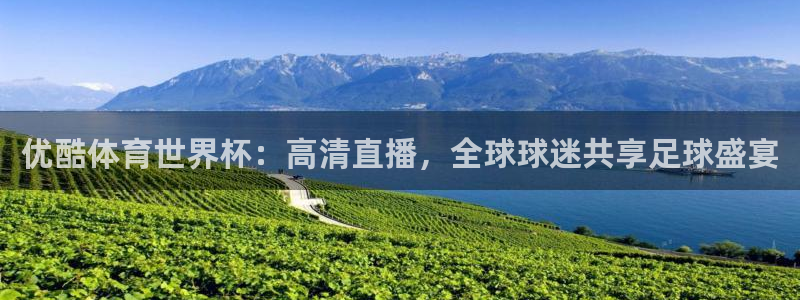 优酷体育世界杯：高清直播，全球球迷共享足球盛宴