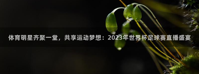 体育明星齐聚一堂，共享运动梦想：2023年世界杯足球赛直播盛宴