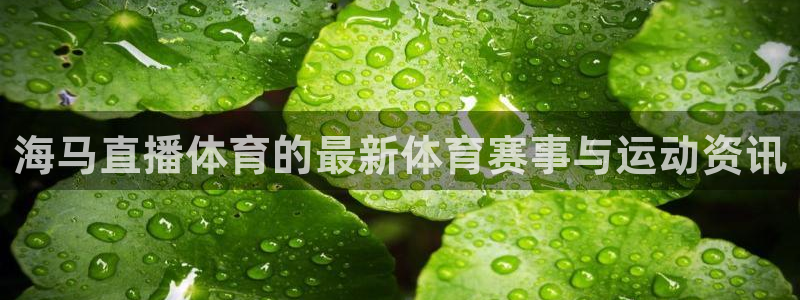 海马直播体育的最新体育赛事与运动资讯